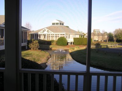 View From the Porch