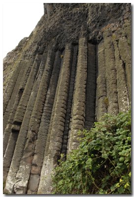 Orgues basaltiques (Giant's causeway)