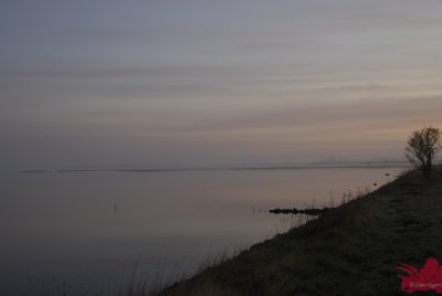 Morgen stemning Gråsten Nor, Ærø