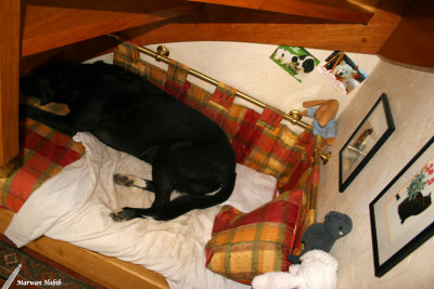 Nemo - Nemo's bedroom / Chambre de Nemo