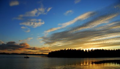 Coming home to Craigs harbor