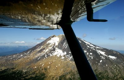 Wing over Mt Adams