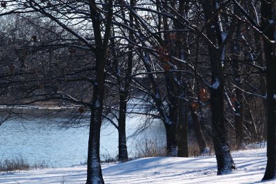 winter_scenery