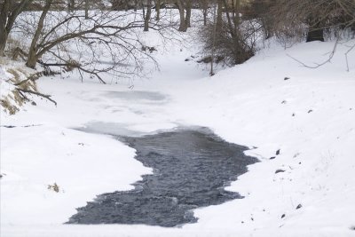 Small Creek