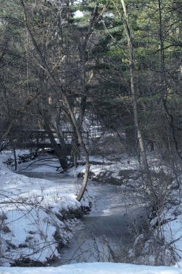 Creek
