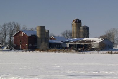 A Farm