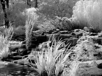 Infrared