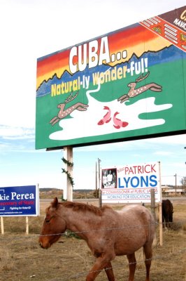 Horsing Around in Cuba(New Mexico)