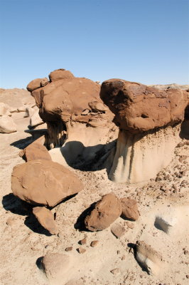 Another View of Bisti #13