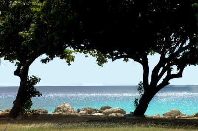 Barbados Seascape