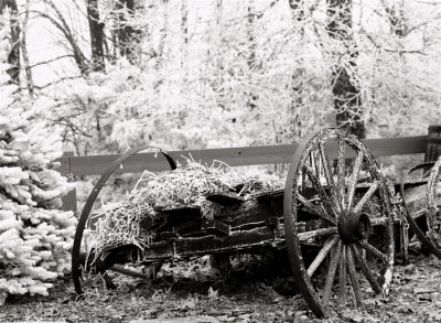 Old wagon against a blanket of snow