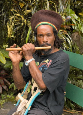 Flute Vendor in Rain Forest