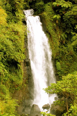 Island Waterfall in Rain Forest