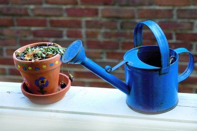 Blue Watering Can