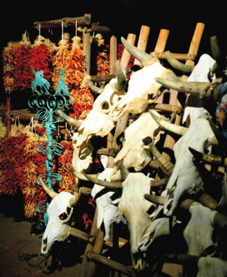 Shop Selling Cow Skulls