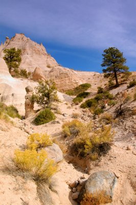 Climbing to the top of Tent Rocks