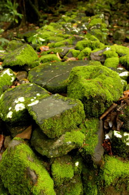 Moss Covered Stone at Religious Site