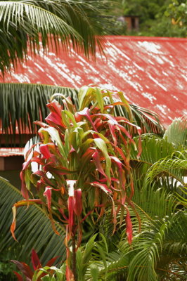 Roofline with Matching Plant