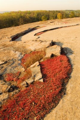 Red Diamorphia swirls around rock formation