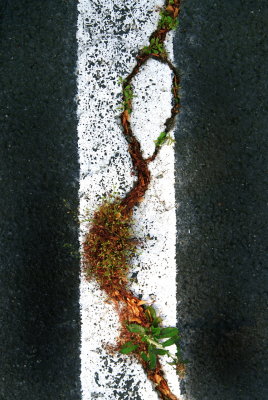 Asphalt Art