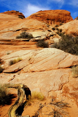 Scene from the Roadside in Utah