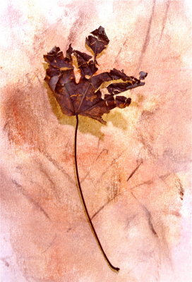 Leaf Impressionism