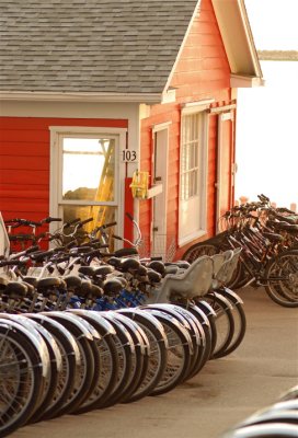 Bikes lined up at Rental Office