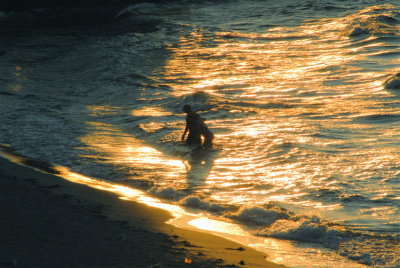 Late Afternoon Swim