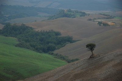 Italy - 2006