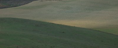 g6/96/718896/3/69038902.Xsr0hlj6.jpg