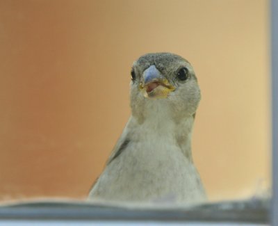 U lookin at me
