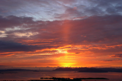 the bay