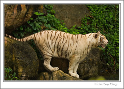 img_16175.jpg