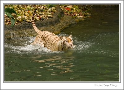 img_16182.jpg