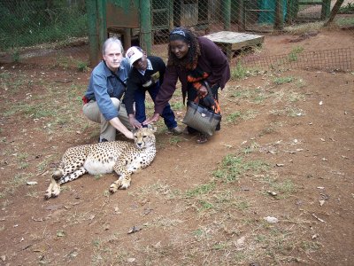 Nairobi National Park, orphanage cheetah-2578