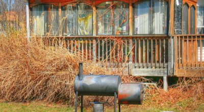 back yard_1600x879.jpg