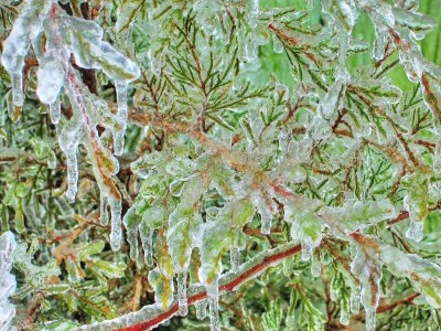 icecicles_1600x1199.jpg