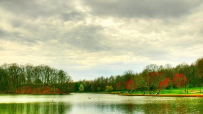 park setting_1600x898.jpg