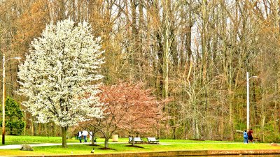 park_1600x900.jpg