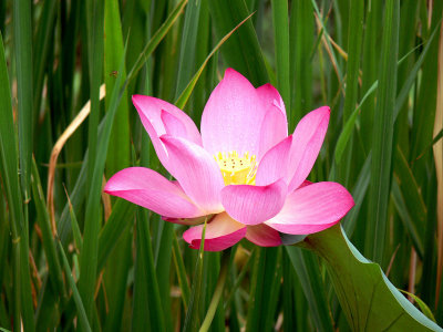 P1020024.jpg