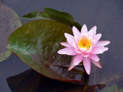 P1020074.jpg