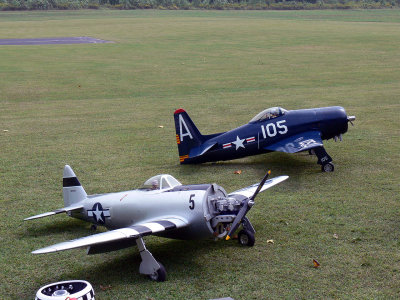 P1020853.jpg