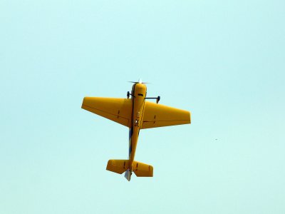 P1020874.jpg