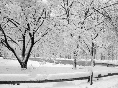 snow.jpg
