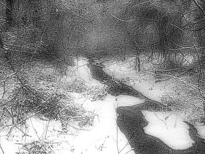 v con-no color.jpg