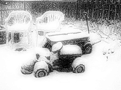vivid contrast-no color.jpg