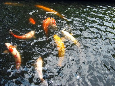IMG_0040.jpg