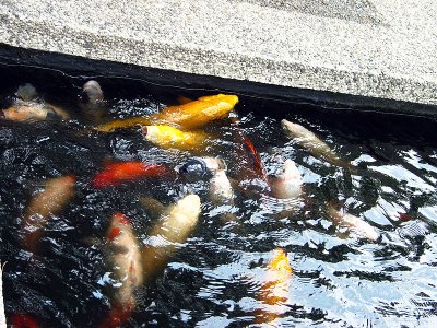 IMG_0048.jpg