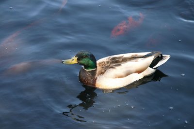 IMG_0209.JPG