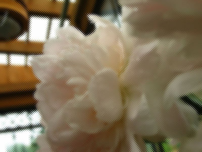 IMG_0007.JPG